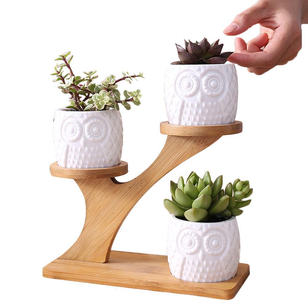 Jardinières à Succulentes Chouettes en Céramique Étagées avec Support en Bambou
