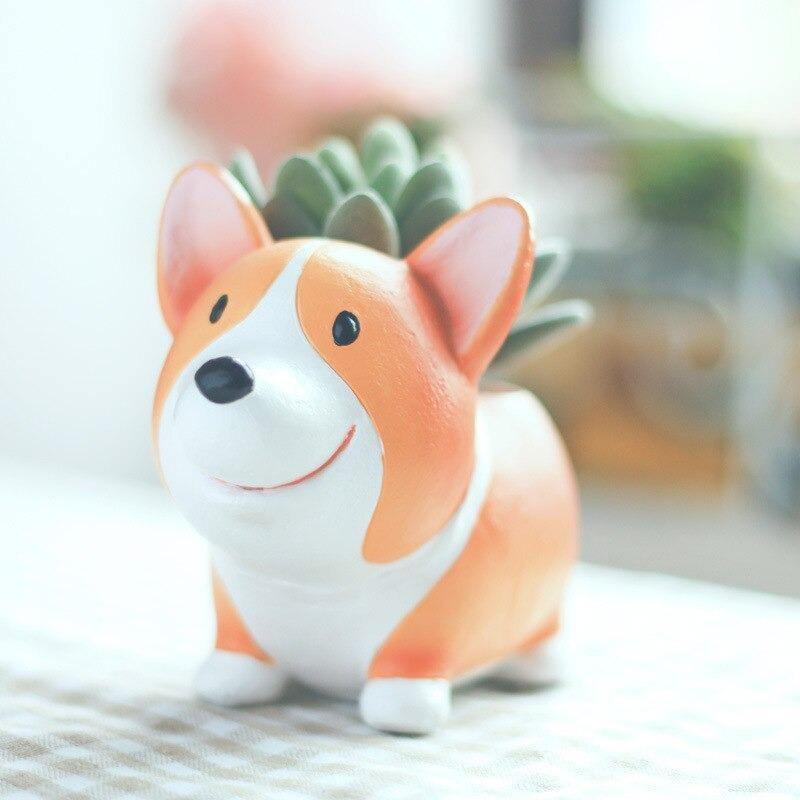 Pot de fleurs succulentes Corgi