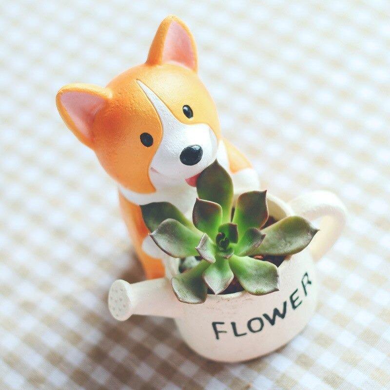 Pot de fleurs succulentes Corgi