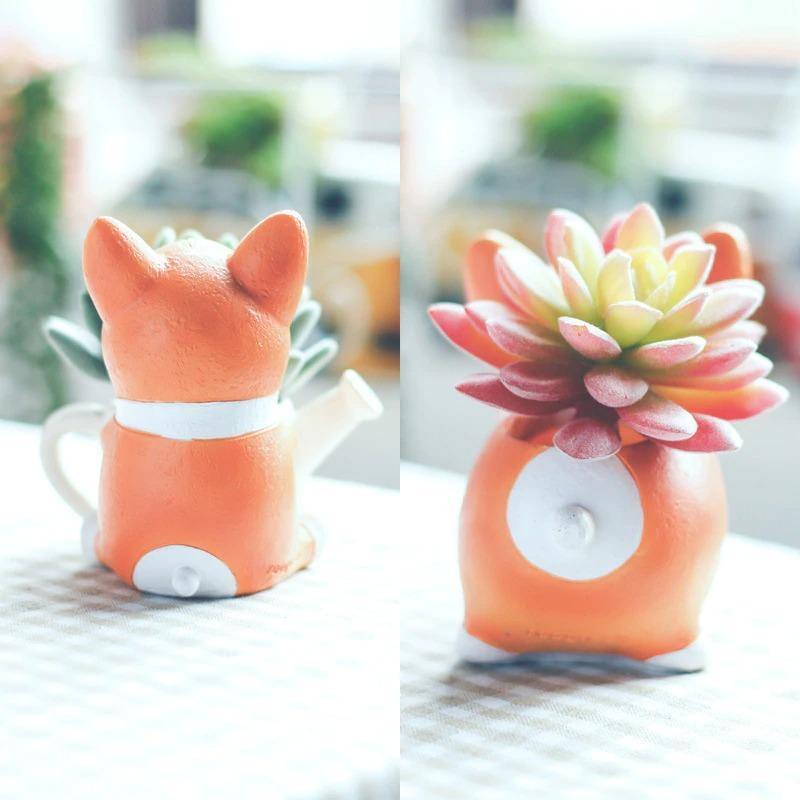 Pot de fleurs succulentes Corgi