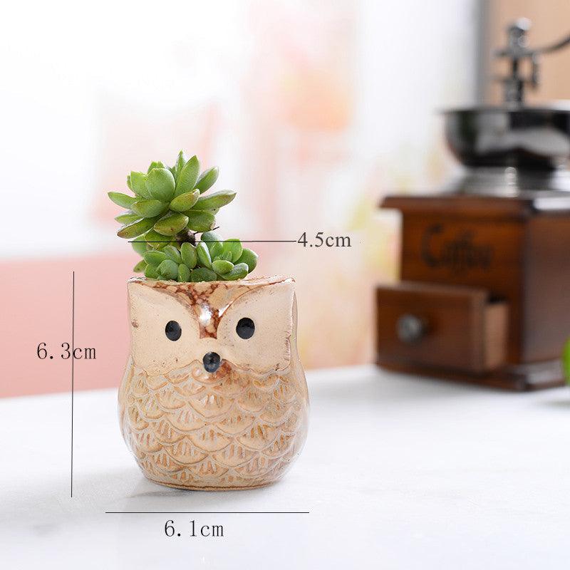 6-teiliges Mini-Eulen-Keramik-Sukkulenten-Pflanzgefäß-Set