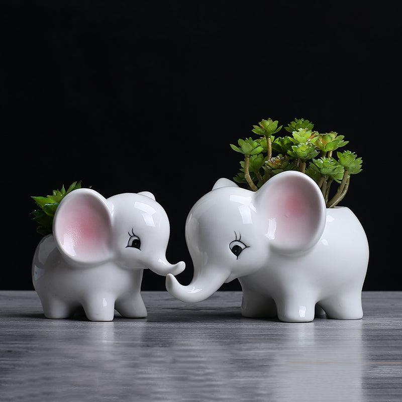 Pot de fleur succulent éléphant en céramique