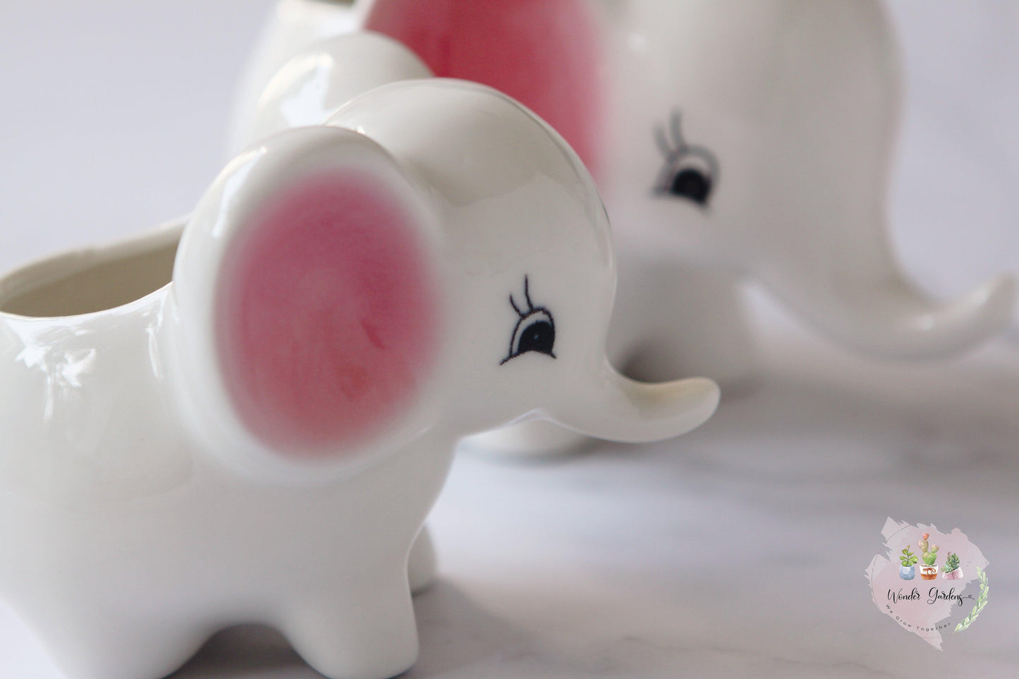 Pot de fleur succulent éléphant en céramique