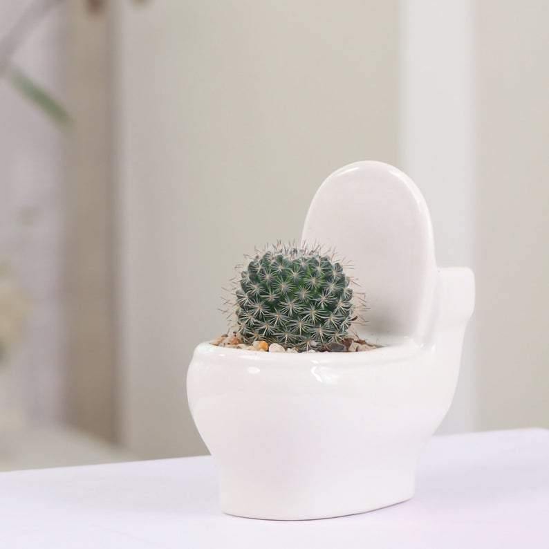Pot de fleurs en céramique fait main pour plantes grasses (WC)