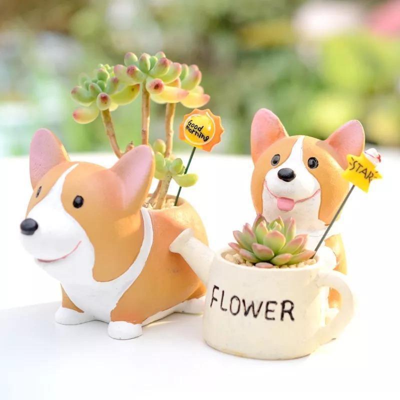 Pot de fleurs succulentes Corgi