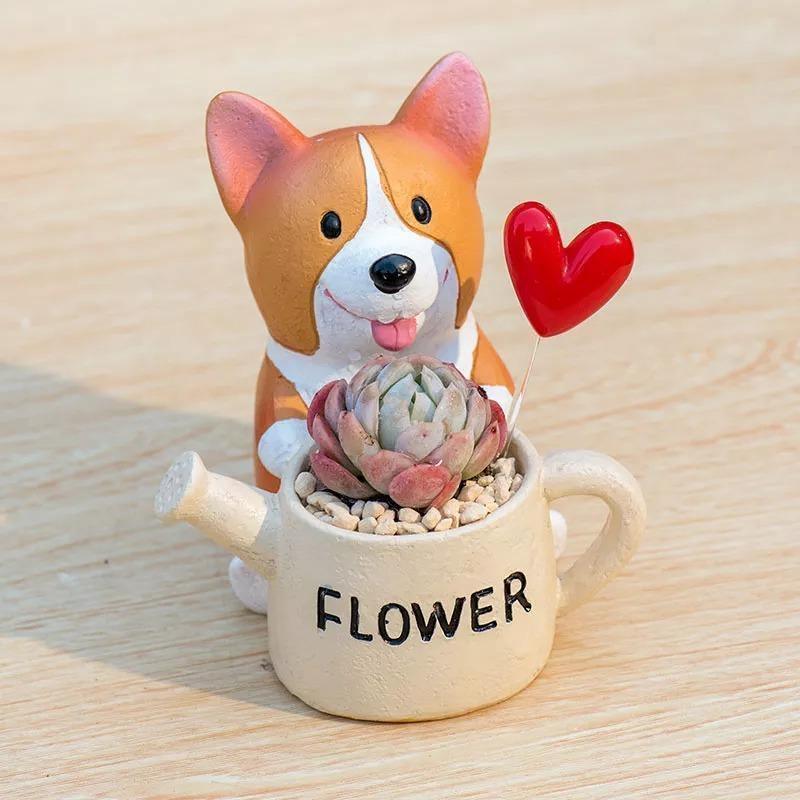 Pot de fleurs succulentes Corgi