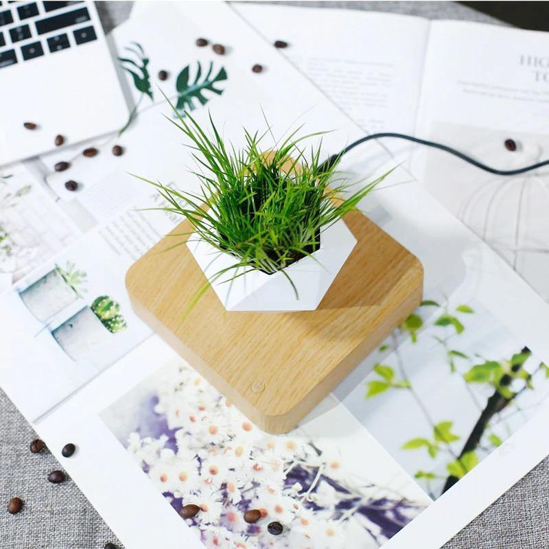 Magnetisch schwebender Übertopf