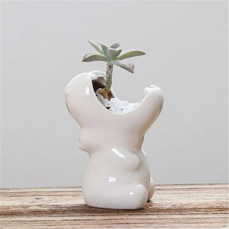 Pot de fleurs en céramique Hippo mordeur pour plantes grasses
