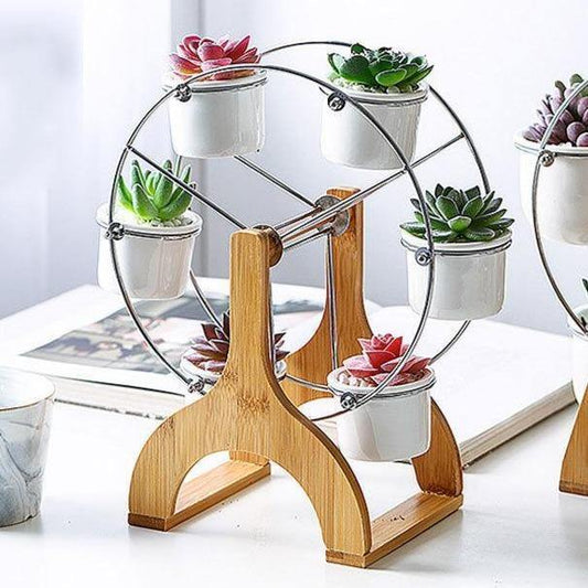 Grande roue en bois avec jardinières de succulentes en céramique