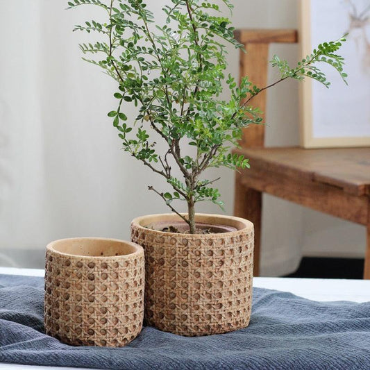 Jardinière en ciment texturé rotin naturel