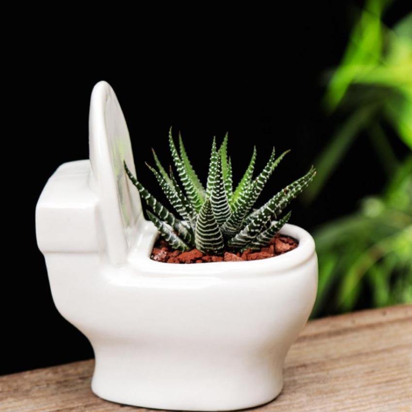 Pot de fleurs en céramique fait main pour plantes grasses (WC)