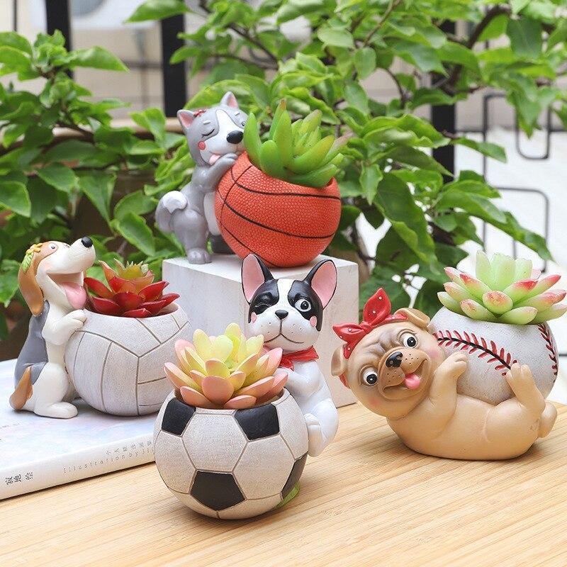 Jardinière succulente Chien sportif