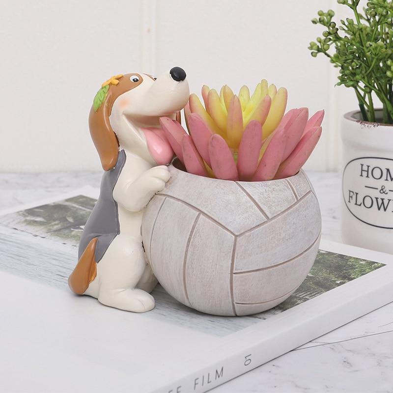 Jardinière succulente Chien sportif