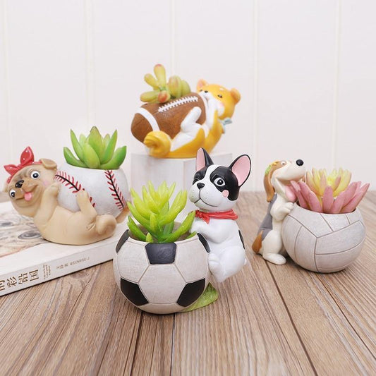 Jardinière succulente Chien sportif