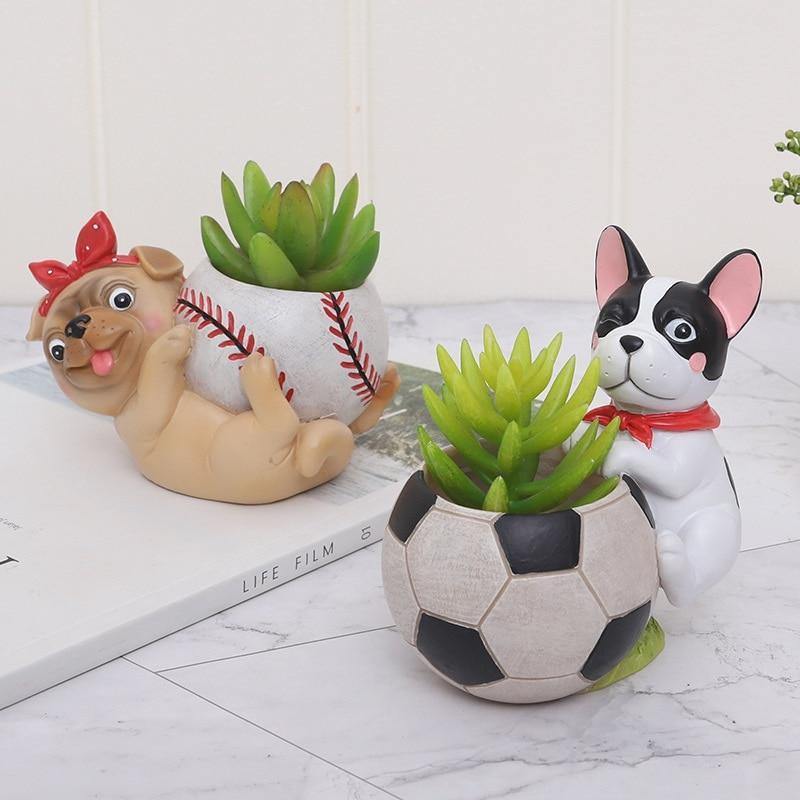 Jardinière succulente Chien sportif