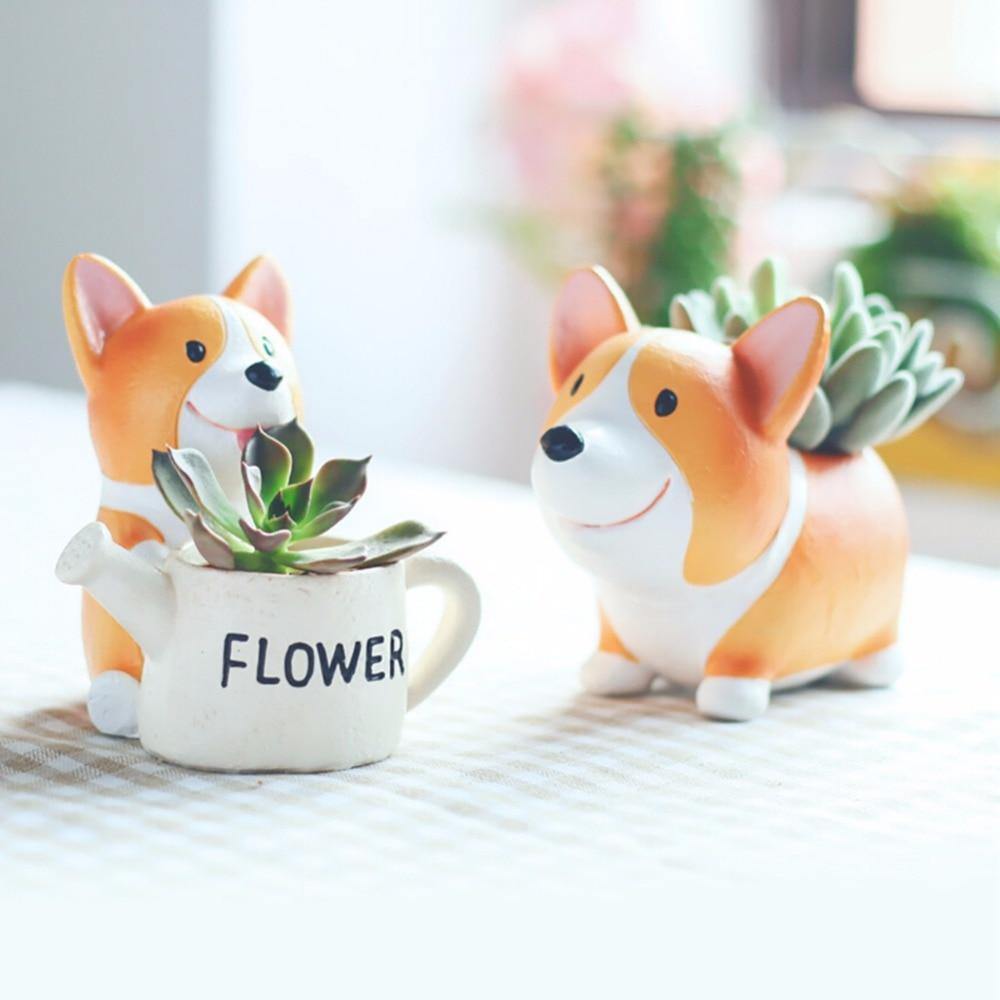 Pot de fleurs succulentes Corgi