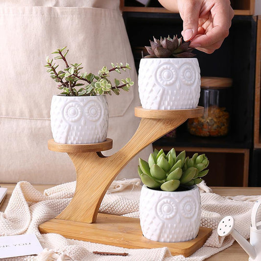 Jardinières à Succulentes Chouettes en Céramique Étagées avec Support en Bambou